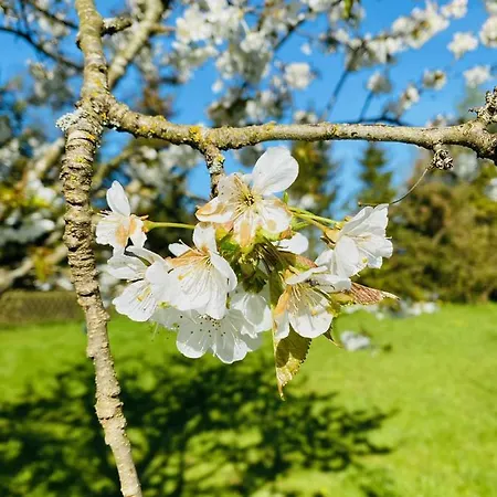 Na Kaszubach Sznurki